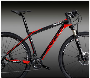 wilier triestina mountain bike